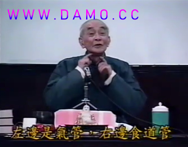 养生课 养生