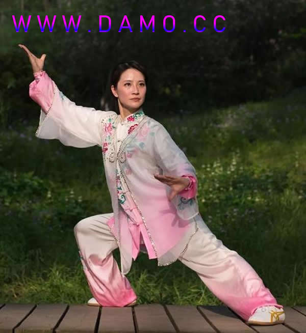 太极拳 易筋经