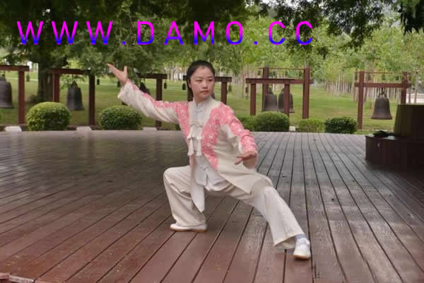 太极拳 易筋经