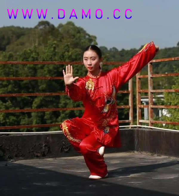 太极拳 易筋经