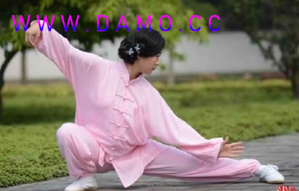 太极拳 易筋经