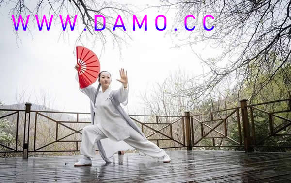 太极拳 易筋经