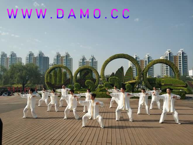 太极拳 易筋经