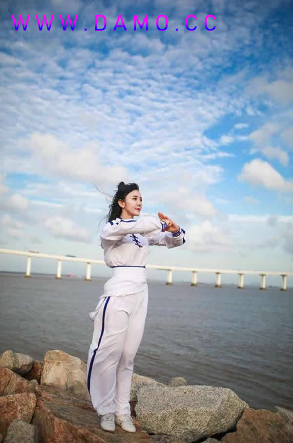 太极拳 易筋经