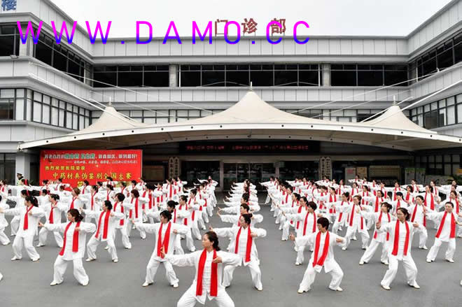太极拳 易筋经