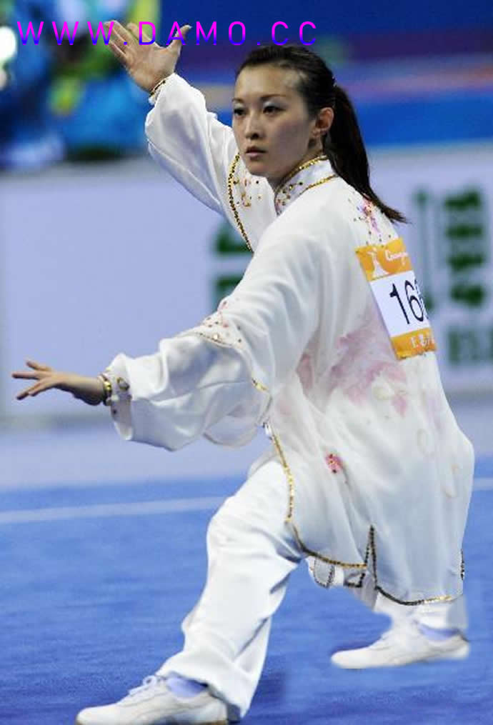 太极拳 易筋经