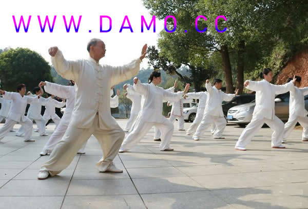 太极拳 易筋经