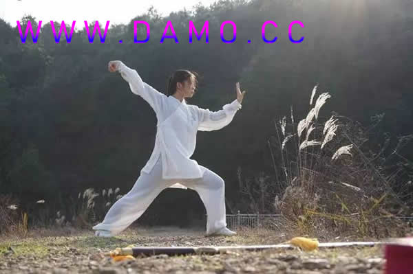 太极拳 易筋经