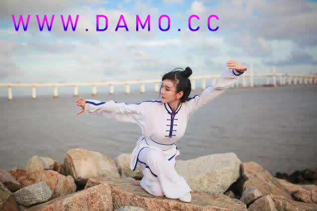 胎息 胎息经