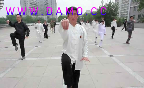 形意拳 易筋经