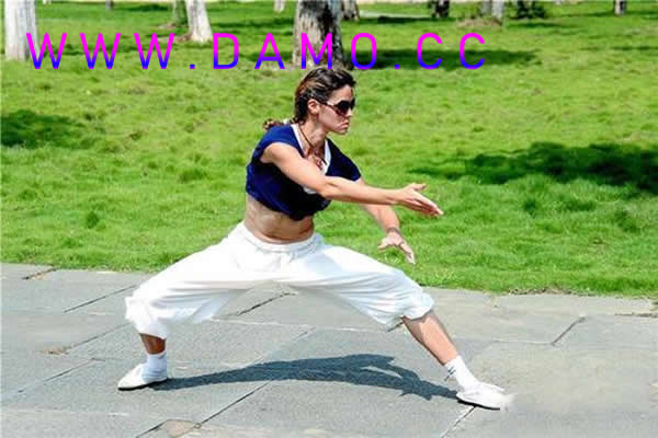 形意拳 易筋经