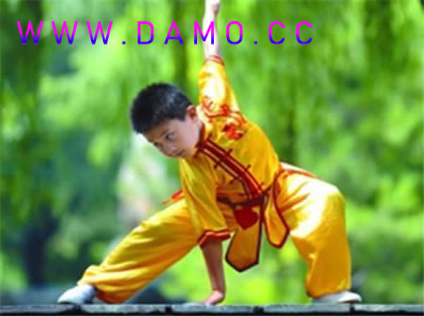 形意拳 易筋经