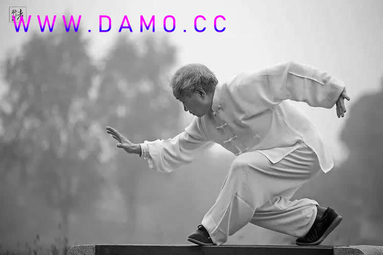形意拳 易筋经