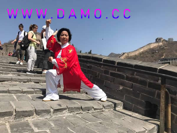 心意把 易筋经