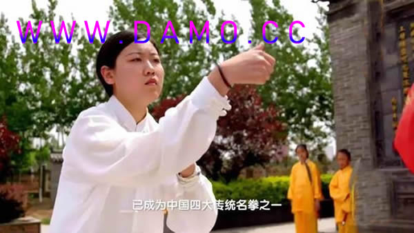 心意把 易筋经