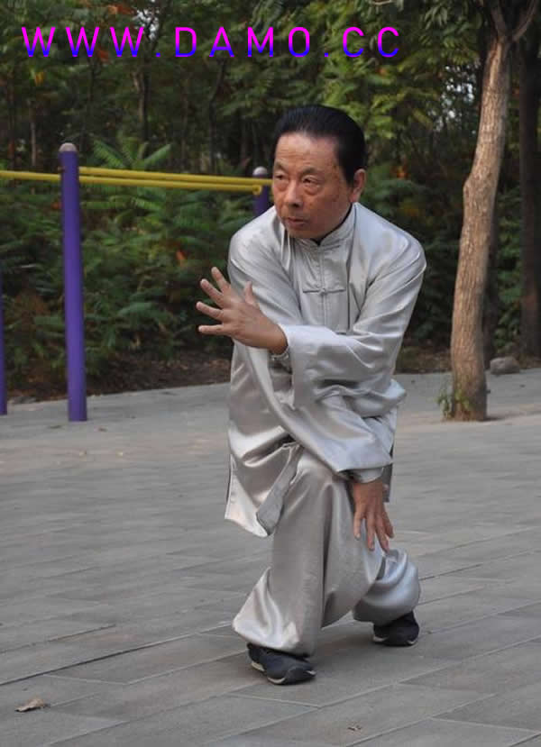心意把 易筋经