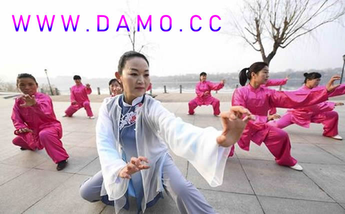 心意把 易筋经