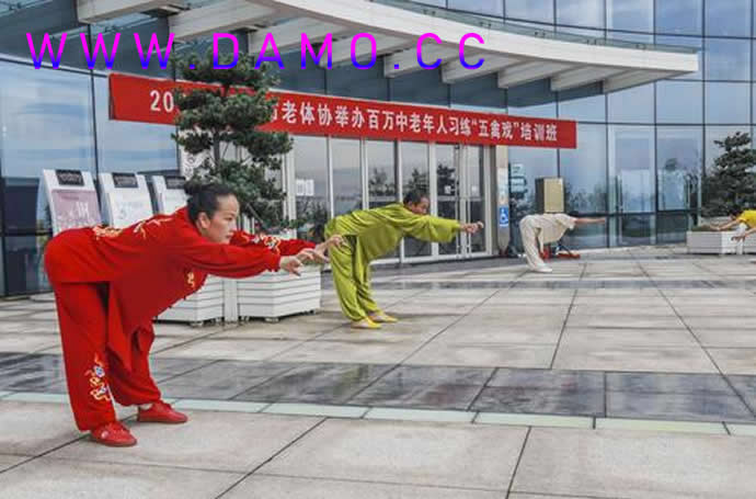 心意把 易筋经