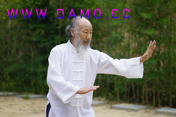 心意把 易筋经