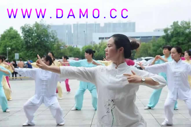 洗髓经 易筋经