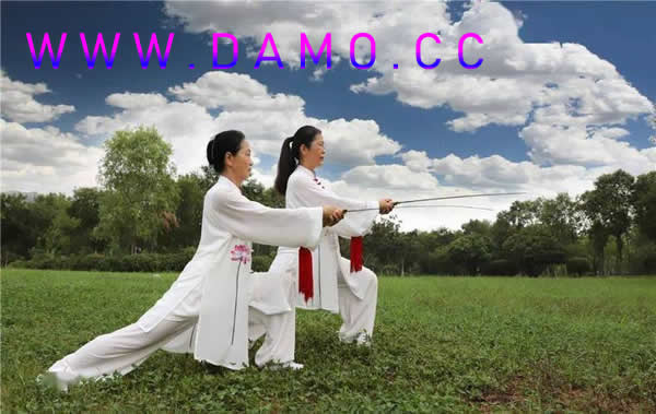 洗髓经 易筋经