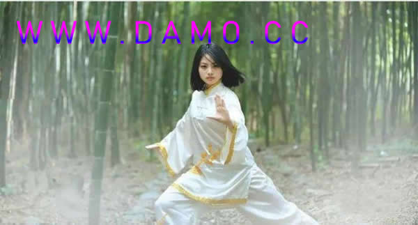洗髓经 易筋经