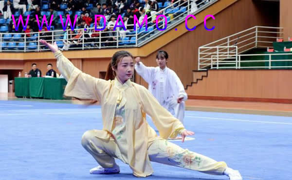 洗髓经 易筋经