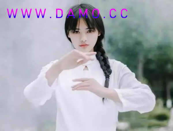 洗髓经 易筋经