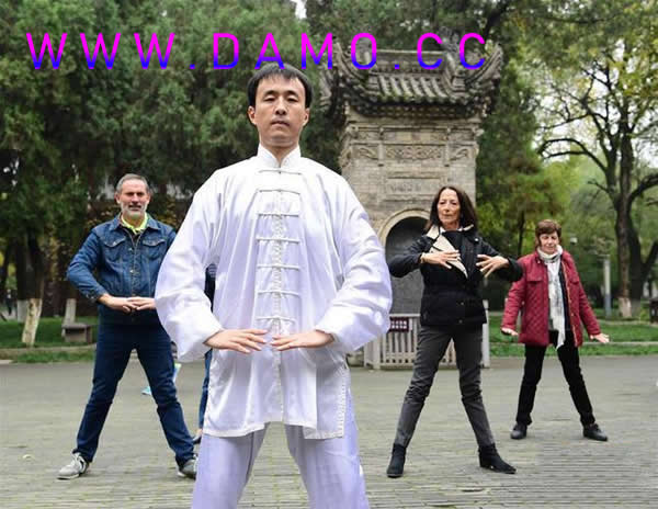 洗髓经 易筋经