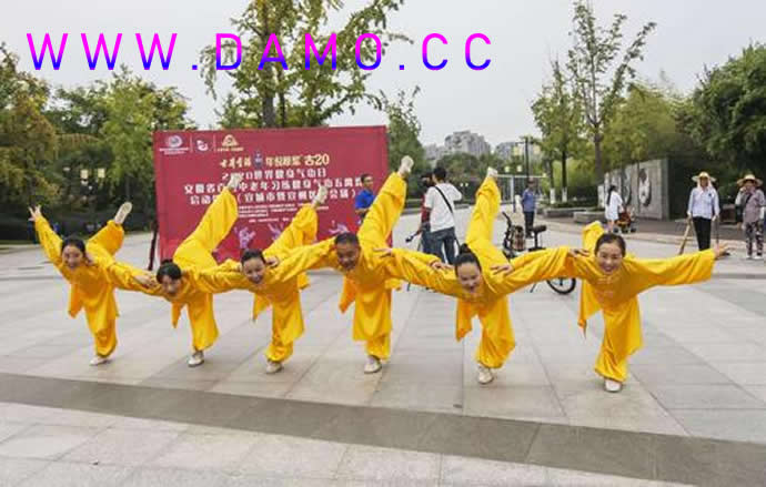 洗髓经 易筋经