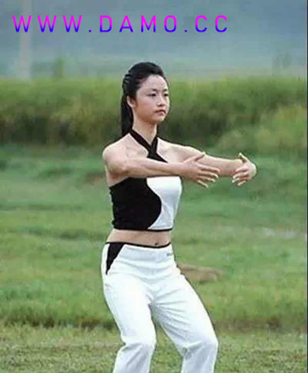 洗髓经 易筋经
