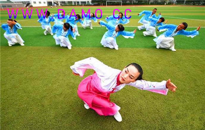 洗髓经 易筋经