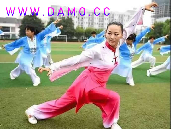 洗髓经 易筋经