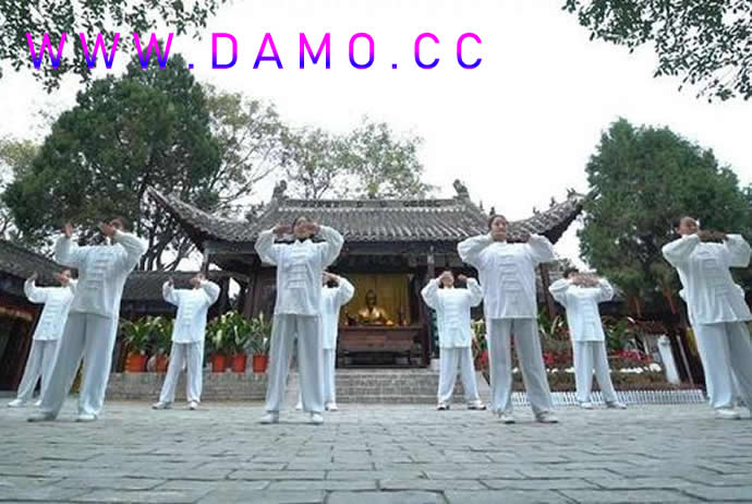 洗髓经 易筋经