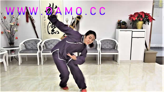 洗髓经 易筋经