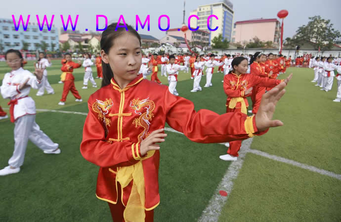 洗髓经 易筋经