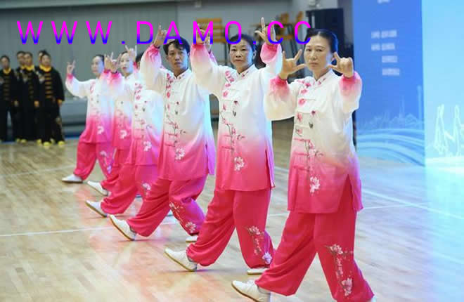 洗髓经 易筋经