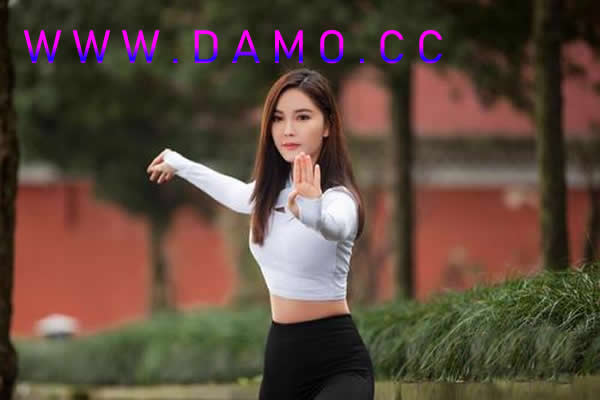 洗髓经 易筋经