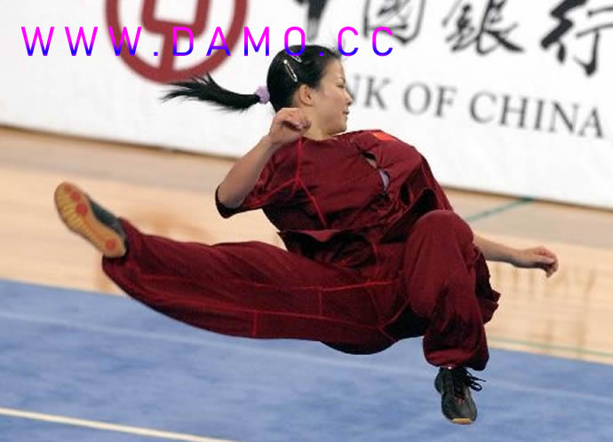 洗髓经 易筋经