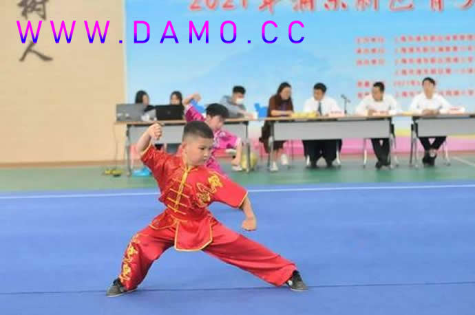 洗髓经 易筋经