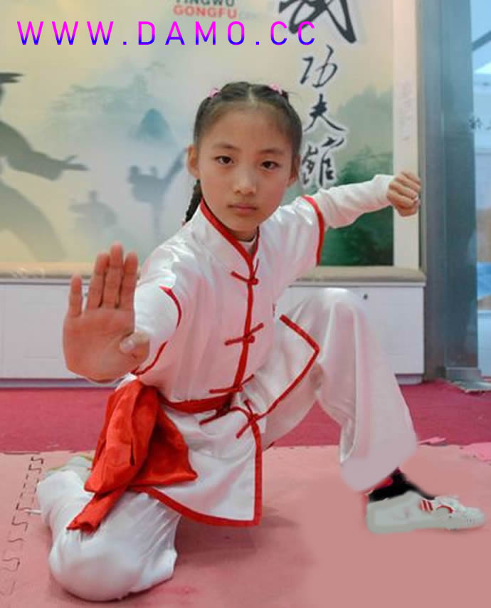 洗髓经 易筋经