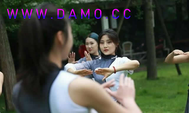 洗髓经 易筋经