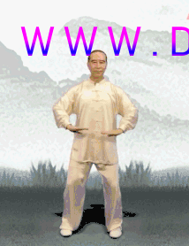 养生课 养生