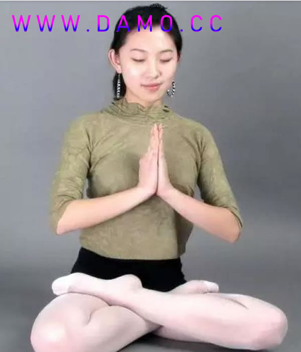 养生课 养生