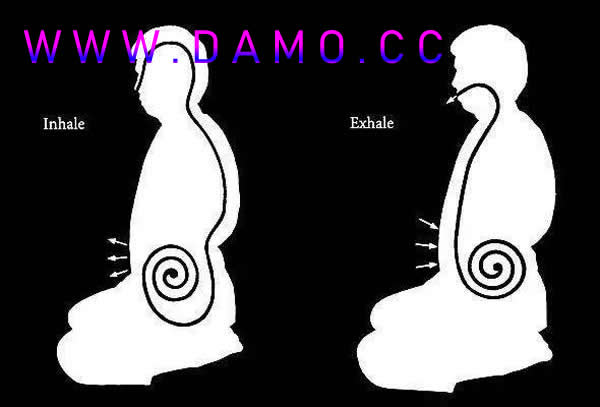 养生课 养生
