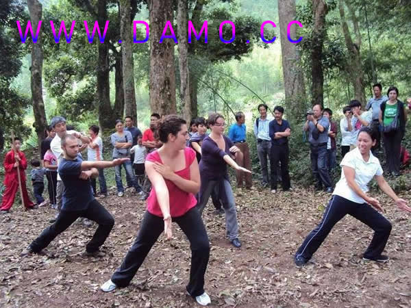 养生课 养生