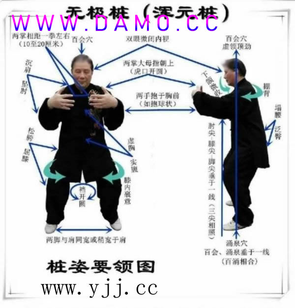 养生课 养生