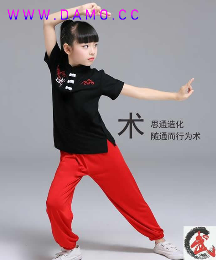 内功 易筋经